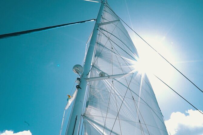 2hrs Dolphins Sunset Sailing Cruise With Drink - Key points that matter before you go