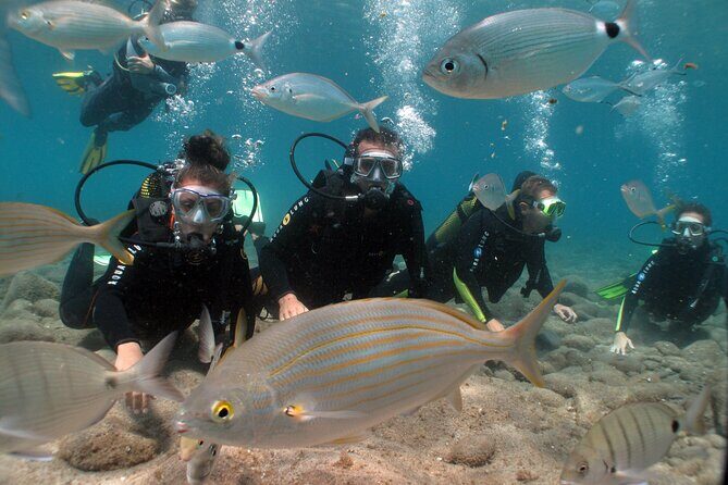 Beginner dive from Playa Chica with Instructor - Wetsuit, Full Equipment, and Getting Comfortable Fast