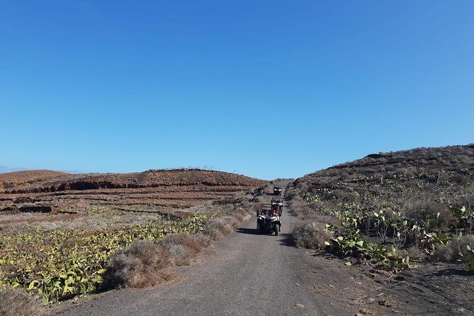 Buggy 3h Guided tour of the north of Lanzarote - Off-road comfort: suspension, speed, and staying sane on rough terrain