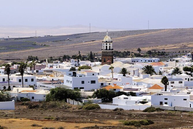 César Manrique: Northern Lanzarote Guided Tour - Stop 3: Jardin de Cactus in Guatiza (Teguise) — A Lot in 40 Minutes