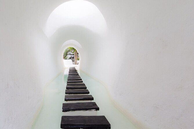 César Manrique: Northern Lanzarote Guided Tour - The Jameos del Agua Caves Stop — One of the Day’s Big Payoffs