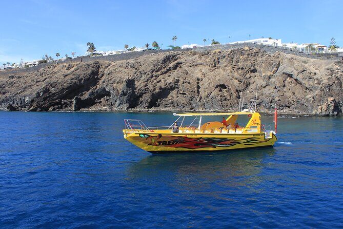 Dolphin Watching Cruise to Lobos Island - Dolphin and whale watching: how to think about sightings (and how to improve your odds)