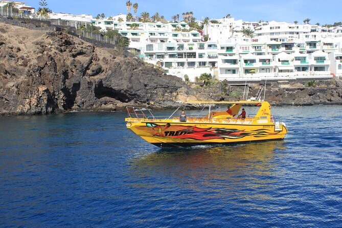 Dolphin Watching Cruise to Lobos Island - Lobos Island access: swimming coves versus island wandering