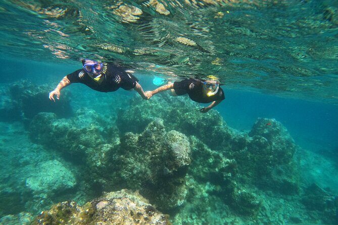Experience Snorkelling in Puerto Del Carmen, Lanzarote - Key highlights you’ll feel right away