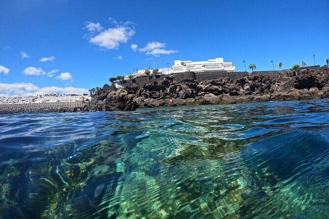 Experience Snorkelling in Puerto Del Carmen, Lanzarote - What you can see: the fish checklist
