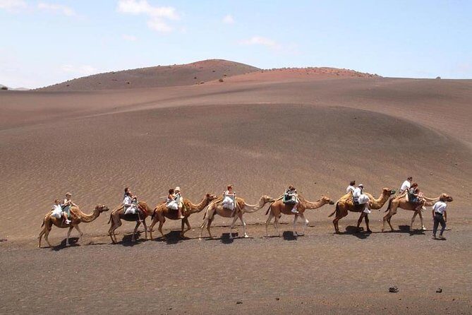 Full Day Tour to Timanfaya, Green Lagoon and La Geria - Yaiza Lunch Time: Use the 40 Minutes Like a Pro