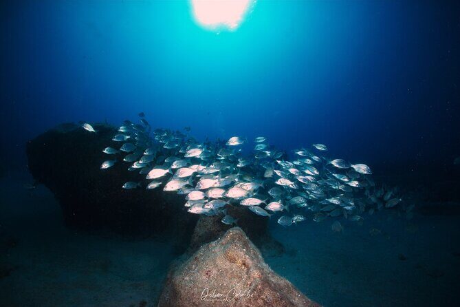 Guided Snorkeling Experience - Why Playa Blanca works so well for guided snorkeling