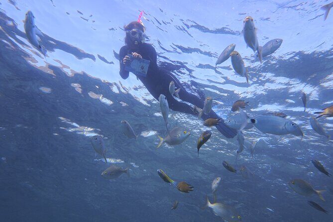Guided Snorkeling Experience - Photo stop plus a guided tour: making the experience easy to remember