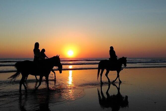 Horseback Riding in the sunset of Famara Beach, Lanzarote, Spain - Key Points Worth Knowing