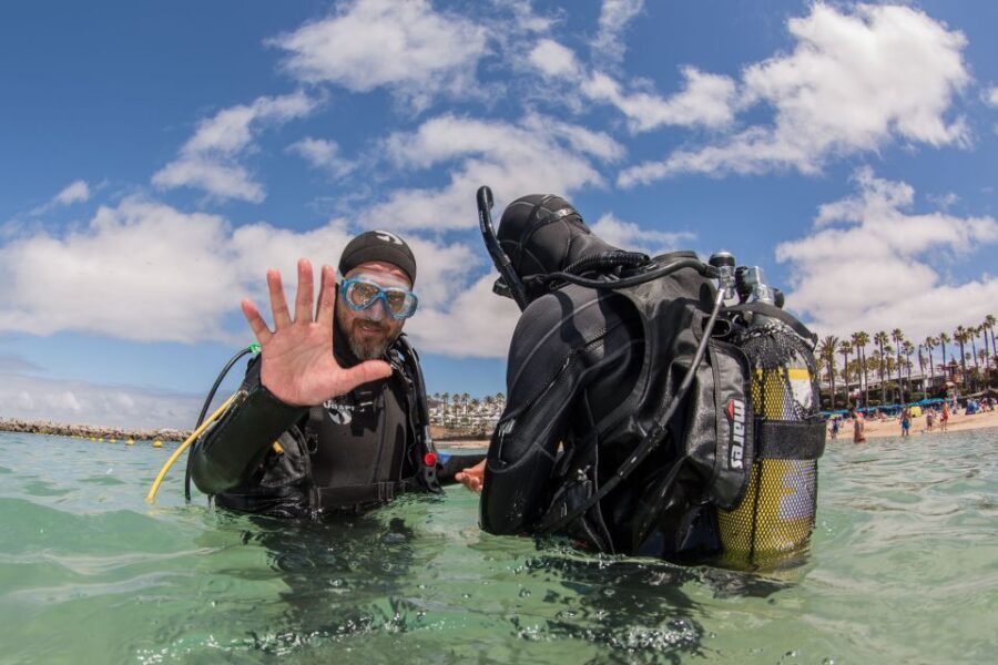 Lanzarote: 2-dive package in Playa Blanca - certified divers - Reef stop 1 at Playa Flamingo: fish schools and low-key searching