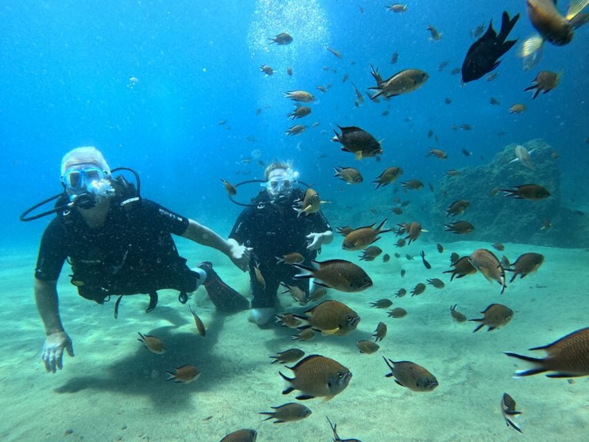 Lanzarote: Intro to Diving Experience for Beginners - Key highlights before you go