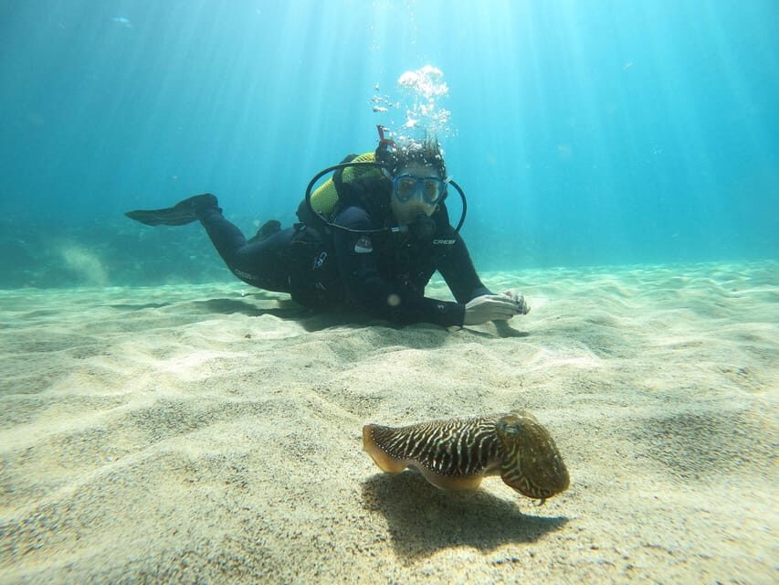 Lanzarote: Scuba Diving for Beginners - 1 Dive - Why Lanzarote’s Atlantic is a smart first underwater session