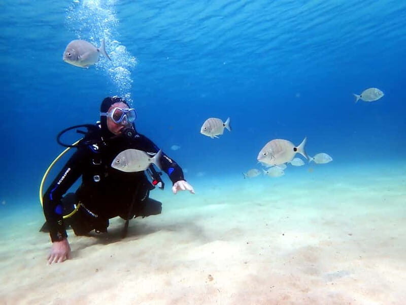 Lanzarote: Small Group Beginner Dive Course Costa Teguise - Key things that make this course worth your time