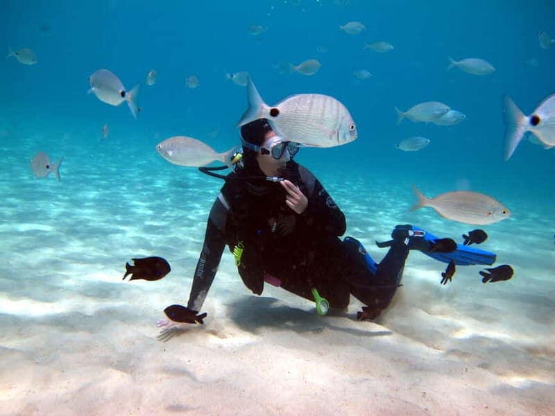 Lanzarote: Small Group Beginner Dive Course Costa Teguise - What to bring (and what can stop you from joining)