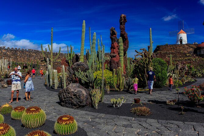 Lanzarote Tour: Lagomar Museum, Cactus Garden & La Graciosa - Lagomar Museum: Omar Sharif’s house turned into a place to look closer