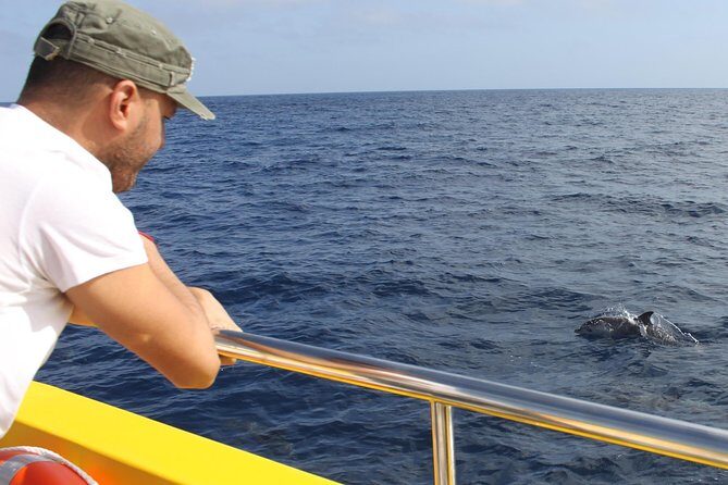 Lobos Island - The dolphin route - Group Size, Language, and Who This Trip Fits Best