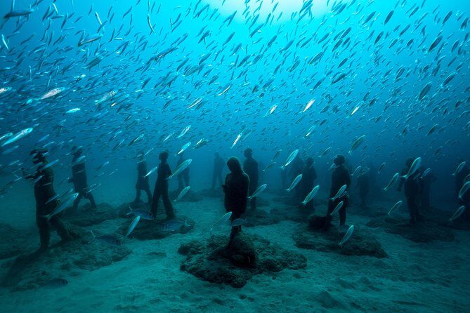 Museo Atlantico for non-certified divers - What you’ll see underwater: sculptures plus real marine life