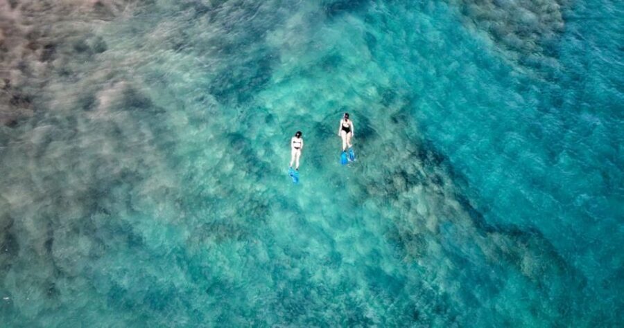 Playa Blanca: Stand up paddle class for beginners - Getting started on the board: balance, setup, and fast feedback