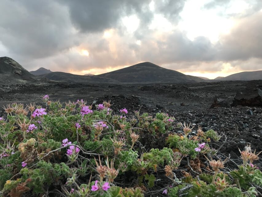 PRIVATE CUSTOMIZED TOUR OF LANZAROTE ISLAND - How a Private Six-Hour Plan Works on Lanzarote