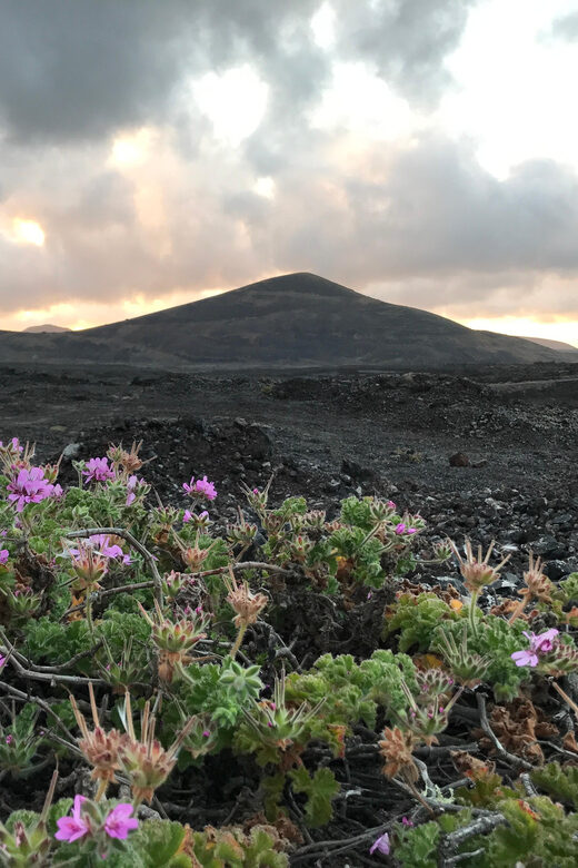 PRIVATE CUSTOMIZED TOUR OF LANZAROTE ISLAND - Crowd-Smart Route Choices (and Why Your Guide Matters)