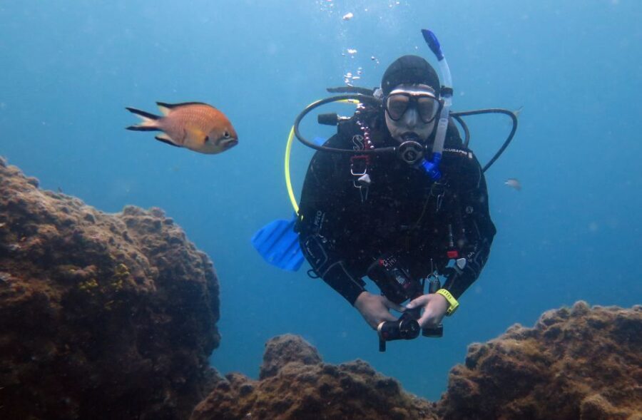 Puerto del Carmen: Guided Scuba Dive (certified only) - Meeting at the scuba center: location, timing, and what you must bring