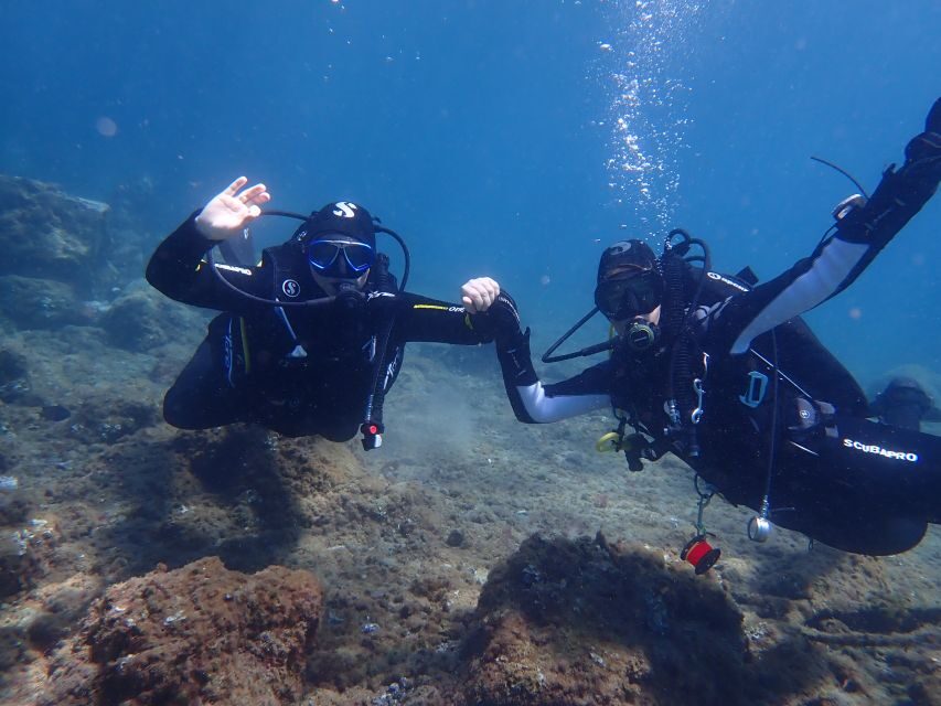 Puerto del Carmen: Try Scuba Diving from the beach - What you’ll see under the surface: Playa Chica’s “little aquarium”