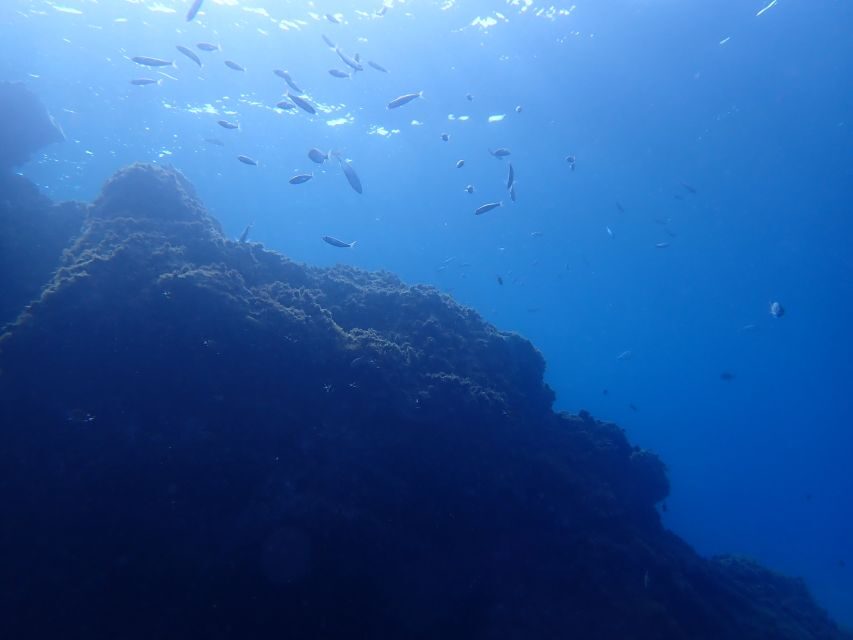 Puerto del Carmen: Try Scuba Diving from the beach - Price and value: what $118 really buys you