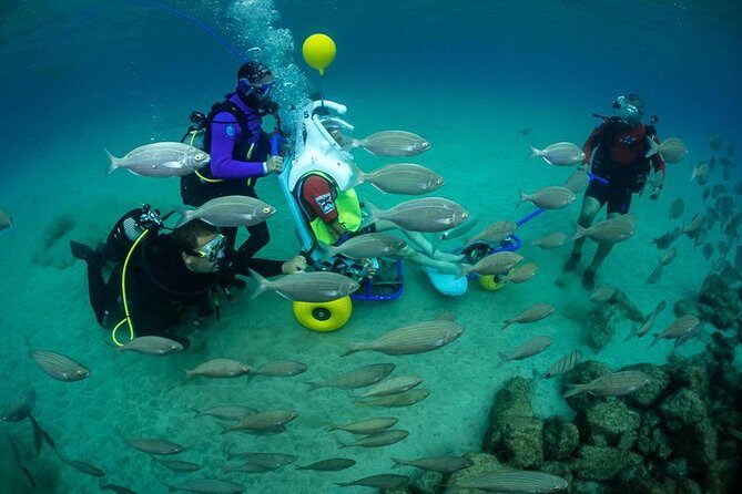 Sea Trek and Diving for handicaped people - Key Points You Should Know Before You Go