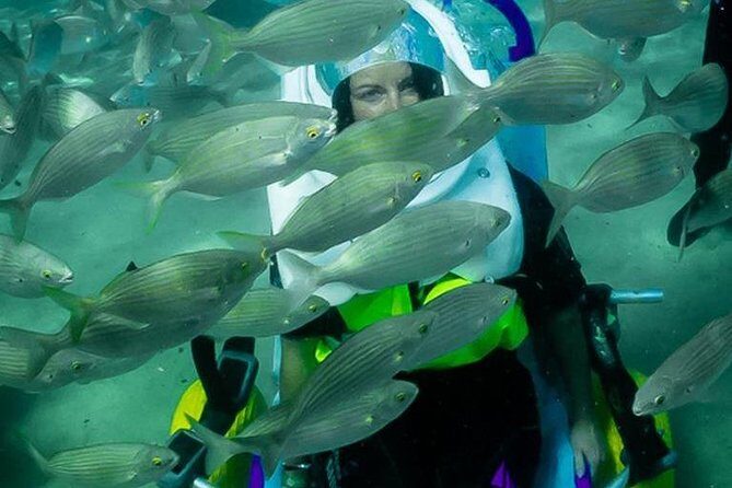Sea Trek and Diving for handicaped people - The Instructor Team: What “Support” Looks Like in Real Life