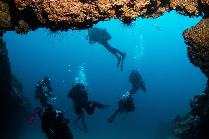 Single Scuba Try-Dive in Puerto del Carmen - small groups - 2 hours - What you do before you go: admin, briefing, and basics