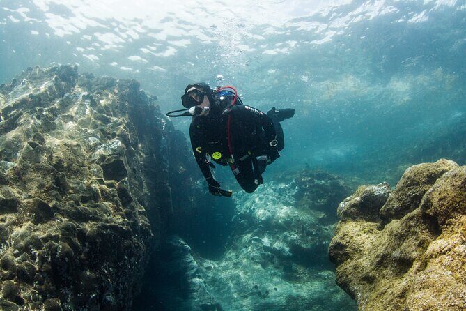 Single Scuba Try-Dive in Puerto del Carmen - small groups - 2 hours - Playa Chica underwater: controlled, shallow, and not rushed