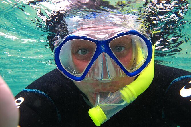 Snorkeling in Costa Teguise: 2-Hour Guided Tour in Lanzarote - Key highlights to look for