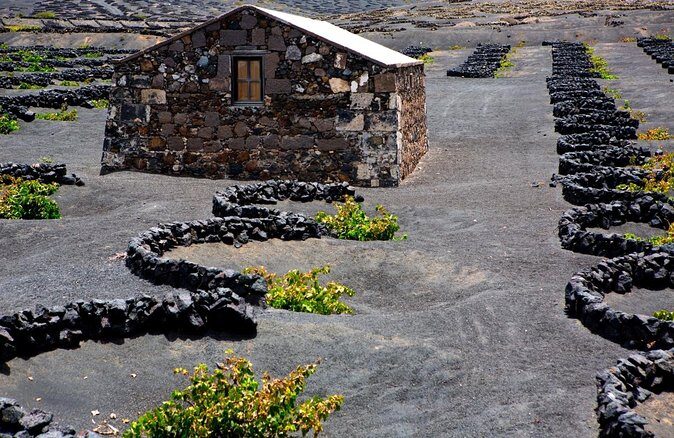 South Route Natural pools, Las Salinas and La Geria - Key highlights at a glance