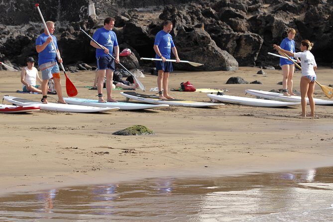 Stand up Paddle Course - Your 1-Hour Flow: Practice, Wobbles, and Rocky Little Coves