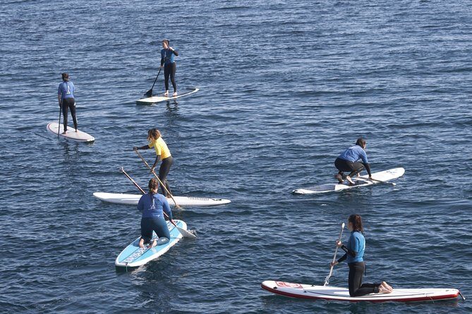Sup Experiences in the ocean - The 90 minutes: what happens from school to sea