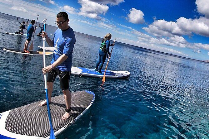 Sup Experiences in the ocean - Paddleboarding basics: standing, rowing, and the confidence boost