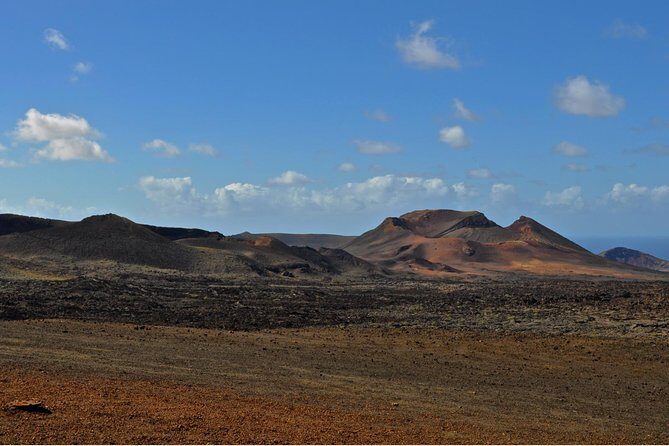 Tour Lanzarote South with Winery Visit - La Geria vineyards and the winery stop: what the timing really means