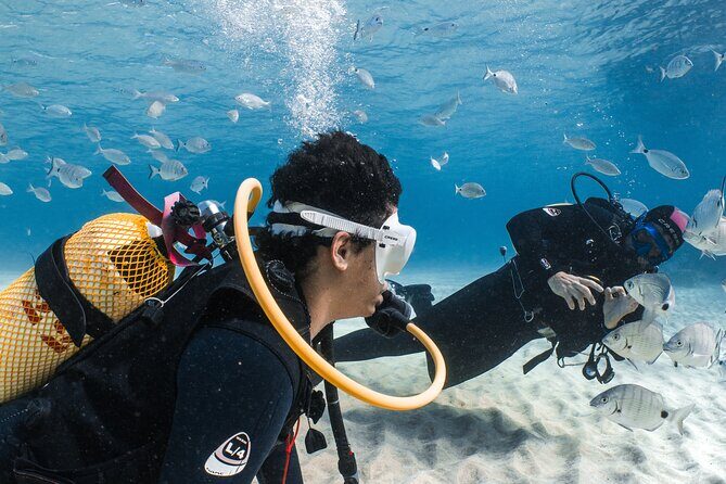Try Scuba Diving | 1 dive - Getting from the meeting point to the water (the 2.5-hour rhythm)