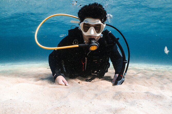 Try Scuba Diving | 1 dive - What’s included in the price—and why it’s good value