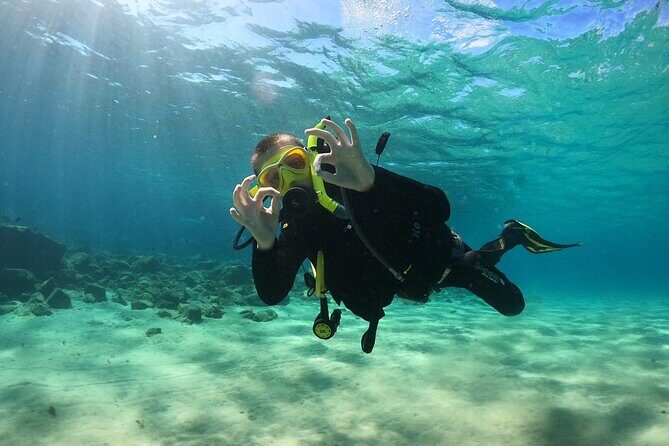 Try Scuba Diving | 1 dive - Licensed guide and small group size: the comfort multiplier