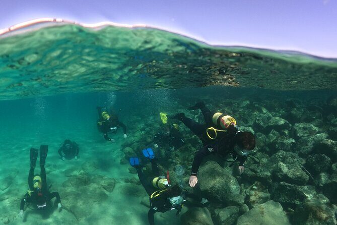 Try Scuba Diving | 1 dive - Photos at 25 euros: decide fast, not emotionally