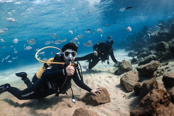 Try Scuba Diving | 1 dive - The briefing and gear time: where first-timers gain real confidence